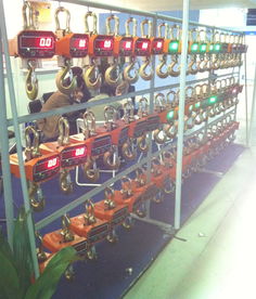 海南電子吊秤與鉤頭秤 高精度稱重解決方案，廠家直銷更省心